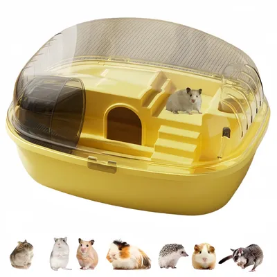 IntiMeg Terrarium pour petits animaux IntiMeg Terrarium pour petits animaux