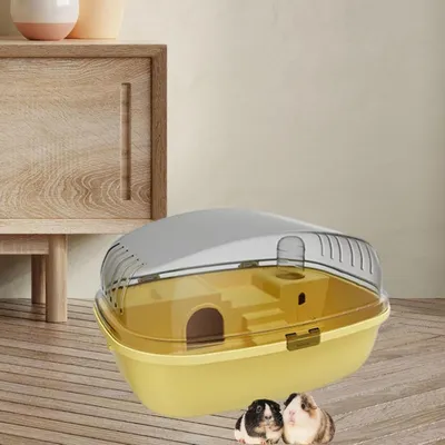 IntiMeg Terrarium pour petits animaux