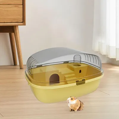 IntiMeg Terrarium pour petits animaux