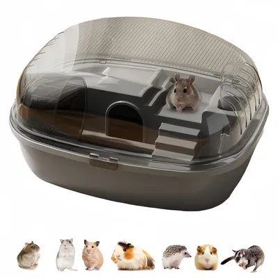 IntiMeg Terrarium pour petits animaux