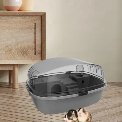 IntiMeg Terrarium pour petits animaux