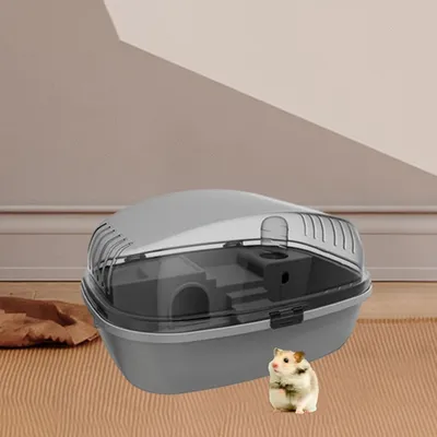 IntiMeg Terrarium pour petits animaux