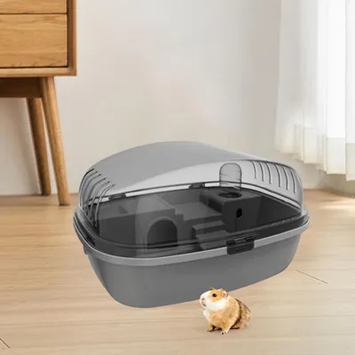 IntiMeg Terrarium pour petits animaux