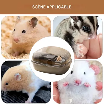 IntiMeg Terrarium pour petits animaux