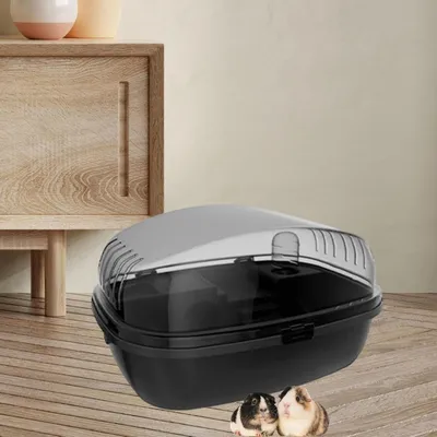 IntiMeg Terrarium pour petits animaux