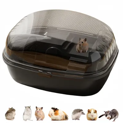 IntiMeg Terrarium pour petits animaux IntiMeg Terrarium pour petits animaux