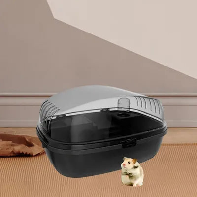 IntiMeg Terrarium pour petits animaux