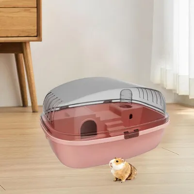 IntiMeg Terrarium pour petits animaux