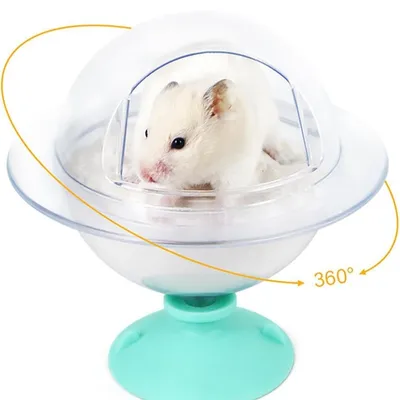 IntiMeg rongeurs salle de bain