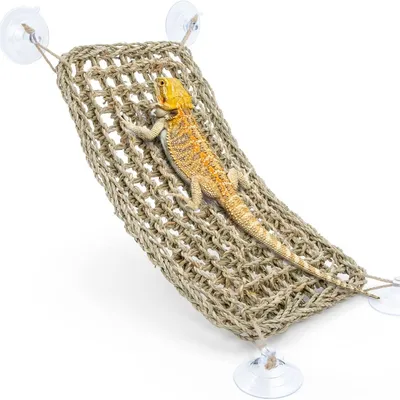 Intimeg Hamac pour reptiles