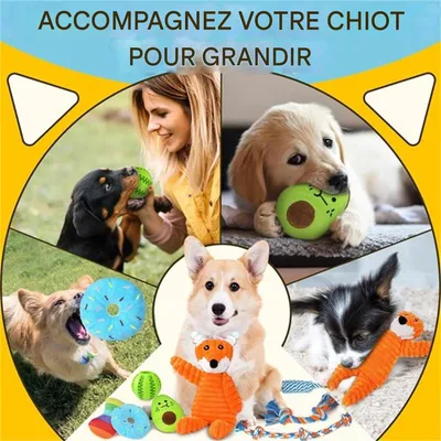 IntiMeg Balle de jeu pour chiens