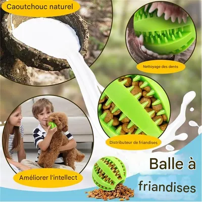 IntiMeg Balle de jeu pour chiens