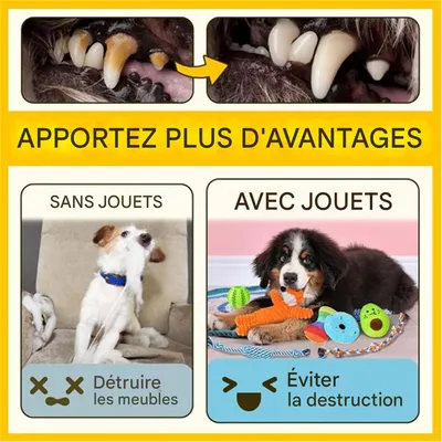 IntiMeg Balle de jeu pour chiens