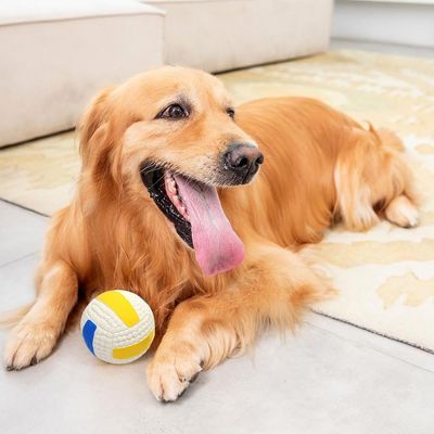Intimeg Balle jouet pour chien
