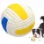 Grand volley-ball