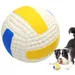 Intimeg Hundespielball