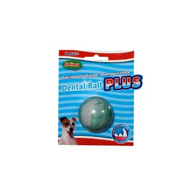 Dental plus Dental plus