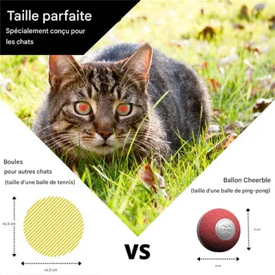 IntiMeg Balle interactive grise pour chats