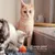IntiMeg Balle interactive grise pour chats