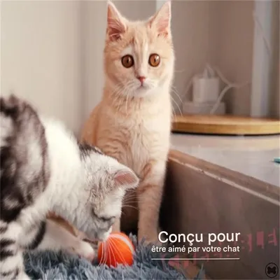 IntiMeg Balle interactive grise pour chats