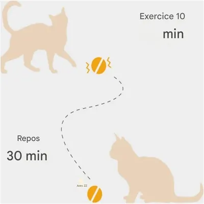 IntiMeg Balle interactive grise pour chats