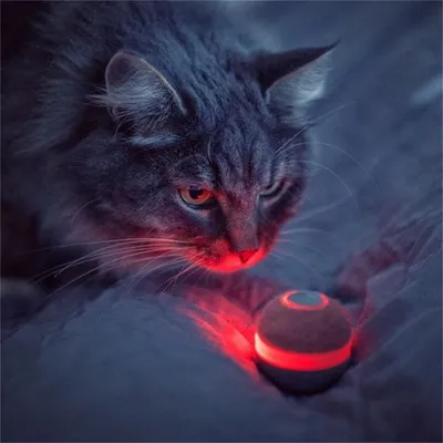 IntiMeg Balle interactive grise pour chats