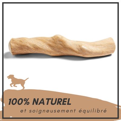 Supravit Bois de Café – Jouet à mâcher pour chien