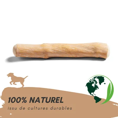Supravit Bois de Café – Jouet à mâcher pour chien