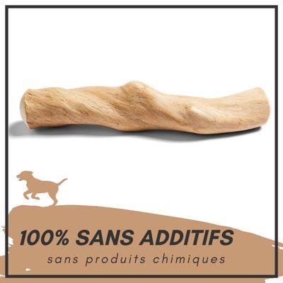 Supravit Bois de Café – Jouet à mâcher pour chien