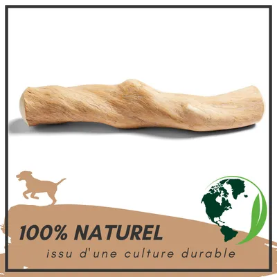 Supravit Bois de Café – Jouet à mâcher pour chien Supravit Bois de Café – Jouet à mâcher pour chien