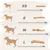 Supravit Bois de Café – Jouet à mâcher pour chien Supravit Bois de Café – Jouet à mâcher pour chien