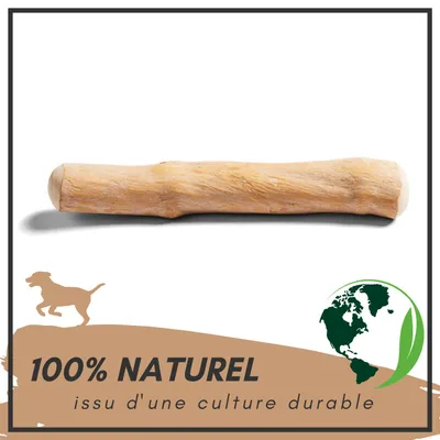 Supravit Bois de Café – Jouet à mâcher pour chien