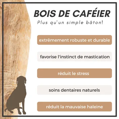 Supravit Bois de Café – Jouet à mâcher pour chien