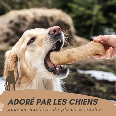 Supravit Bois de Café – Jouet à mâcher pour chien