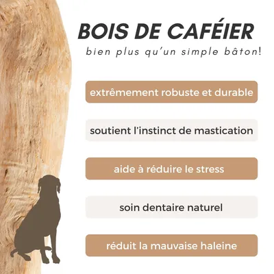 Supravit Bois de Café – Jouet à mâcher pour chien