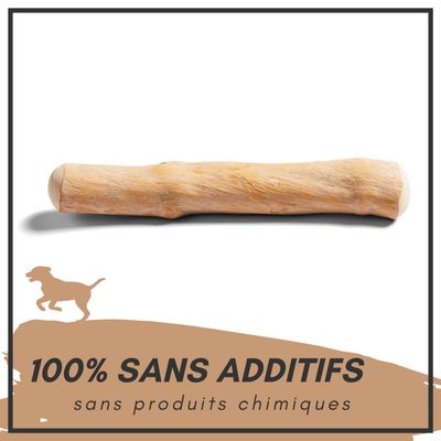 Supravit Bois de Café – Jouet à mâcher pour chien