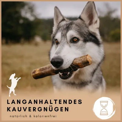 Olivenholz Kauholz für Hunde – natürlich & langlebig Olivenholz Kauholz für Hunde – natürlich & langlebig