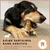 Supravit Bois d’Olivier – Jouet à mâcher pour chien Supravit Bois d’Olivier – Jouet à mâcher pour chien
