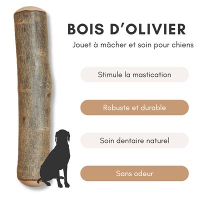 Supravit Bois d’Olivier – Jouet à mâcher pour chien