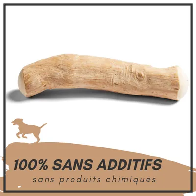 Supravit Bois de Café – Jouet à mâcher pour chien