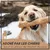 Supravit Bois de Café – Jouet à mâcher pour chien Supravit Bois de Café – Jouet à mâcher pour chien