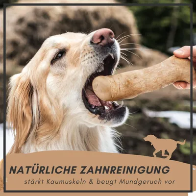 Supravit Natürlicher Kauknochen aus Kaffeeholz für Hunde