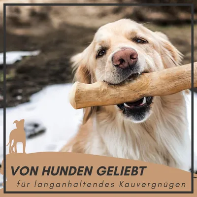 Supravit Natürlicher Kauknochen aus Kaffeeholz für Hunde