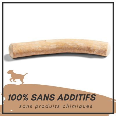 Supravit Bois de Café – Jouet à mâcher pour chien