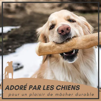 Supravit Bois de Café – Jouet à mâcher pour chien Supravit Bois de Café – Jouet à mâcher pour chien