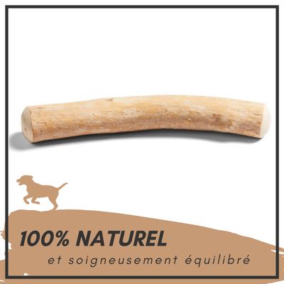 Supravit Bois de Café – Jouet à mâcher pour chien