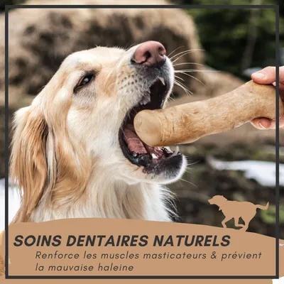 Supravit Bois de Café – Jouet à mâcher pour chien Supravit Bois de Café – Jouet à mâcher pour chien