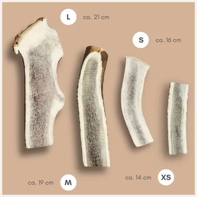 Supravit Bois de Cerf Fendu – Mâche naturelle pour chien