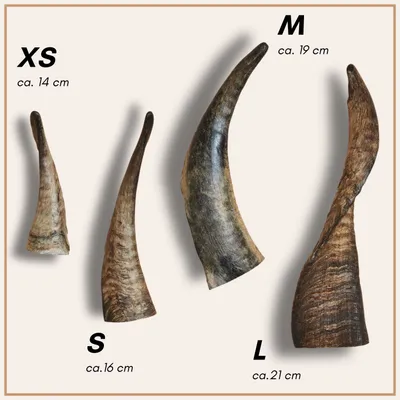 Supravit Corne de Mouton – Friandise à mâcher naturelle pour chien