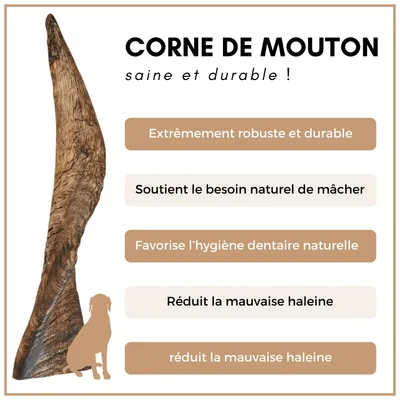 Supravit Corne de Mouton – Friandise à mâcher naturelle pour chien